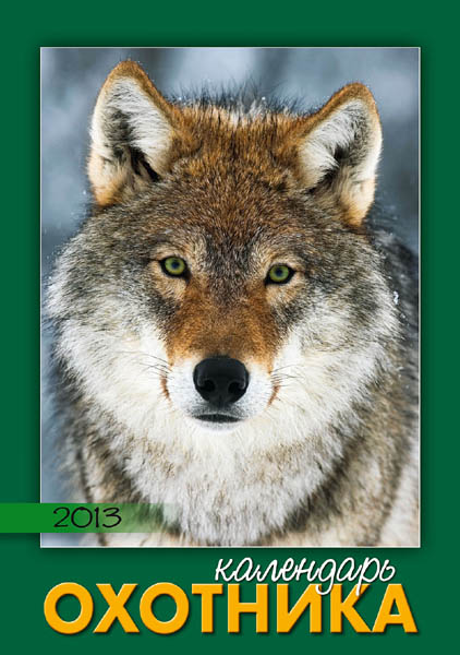    2013 